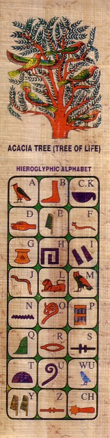 1189.jpg - Papyrus. Egypte